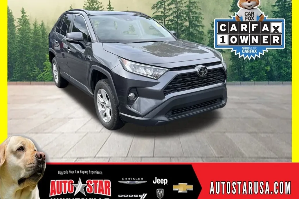 2019 Toyota RAV4 XLE photo 1