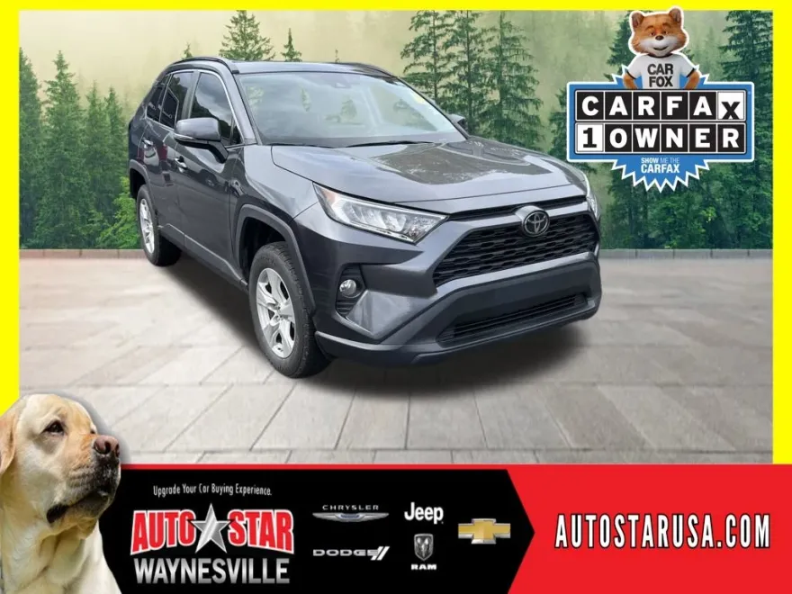 2019 Toyota RAV4 XLE photo 1