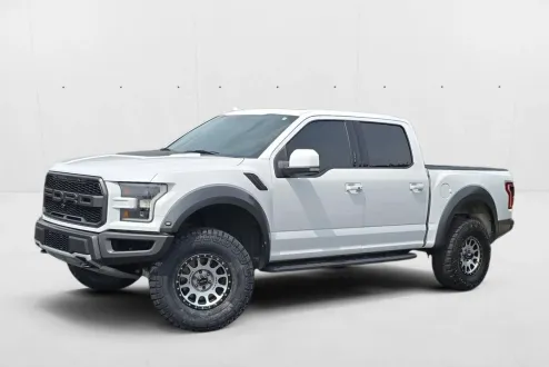 2019 Ford F-150 Raptor photo 1