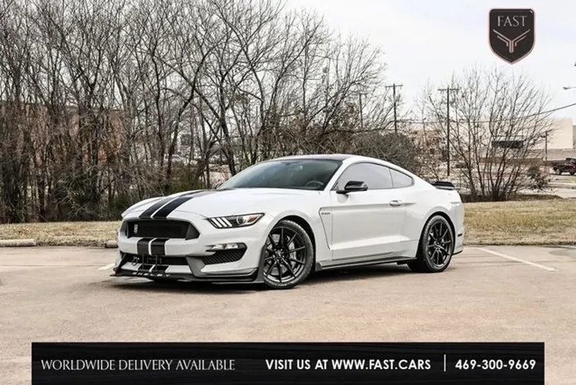 2017 Ford Mustang Shelby GT350 photo 1