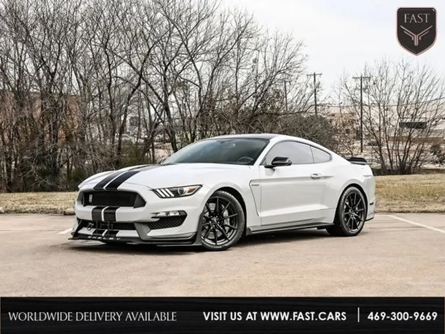 2017 Ford Mustang Shelby GT350 photo 1