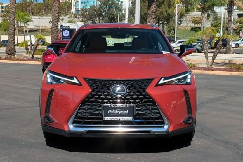 2020 Lexus UX 200 photo 1