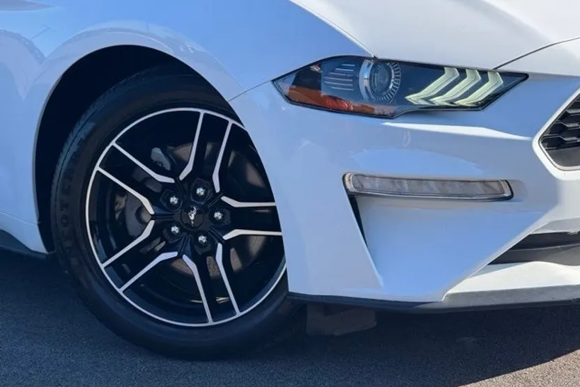 2022 Ford Mustang EcoBoost Premium photo 1