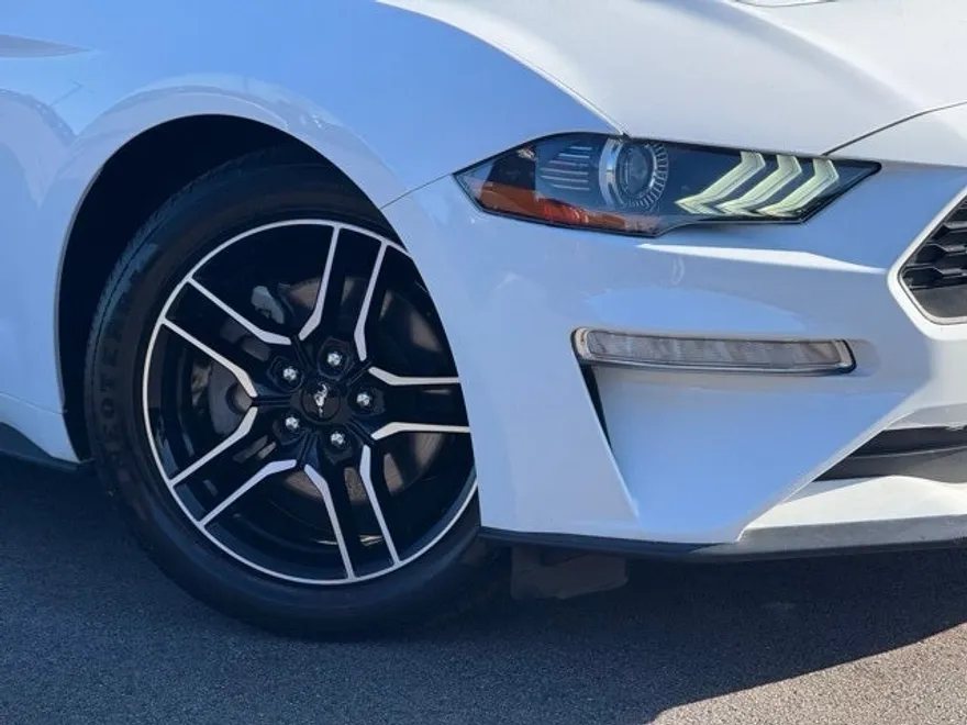 2022 Ford Mustang EcoBoost Premium photo 1