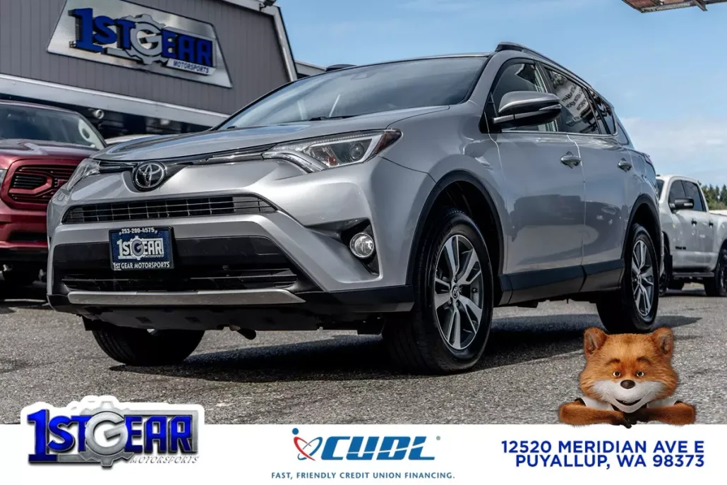 2017 Toyota RAV4 XLE photo 1