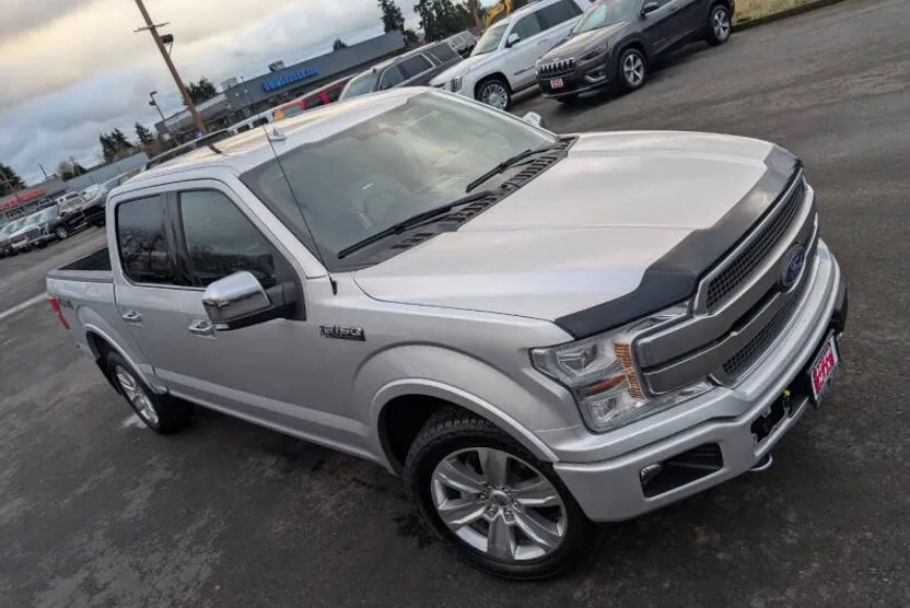 2019 Ford F-150 Platinum photo 1
