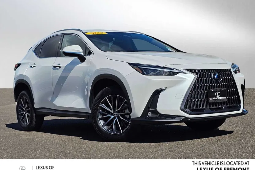 2022 Lexus NX 250 photo 1