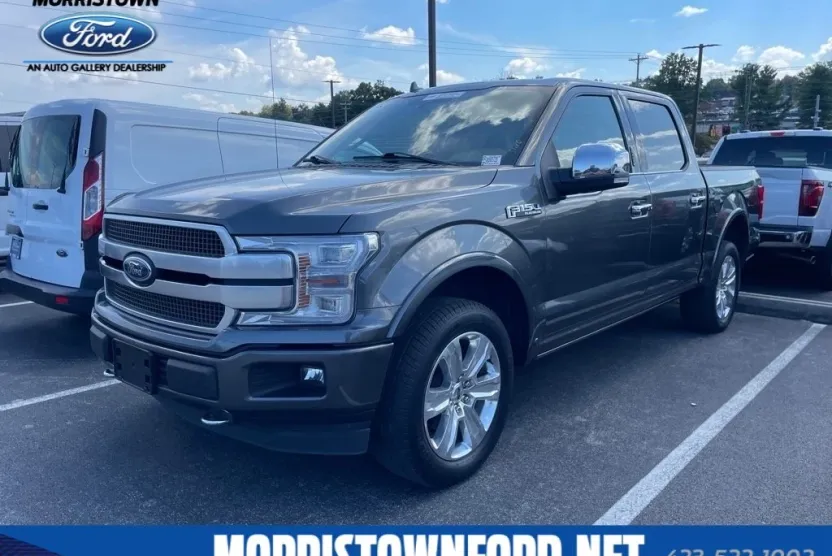 2020 Ford F-150 Platinum photo 1