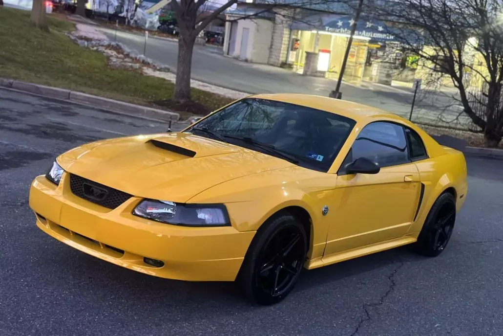 2004 Ford Mustang GT Premium photo 1