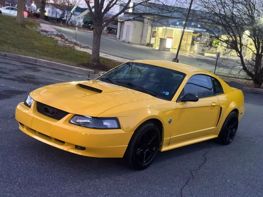 2004 Ford Mustang GT Premium photo 1