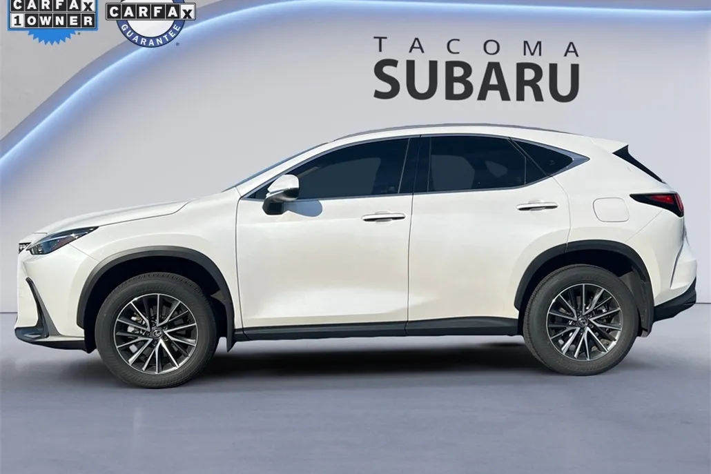 2024 Lexus NX 350 photo 1