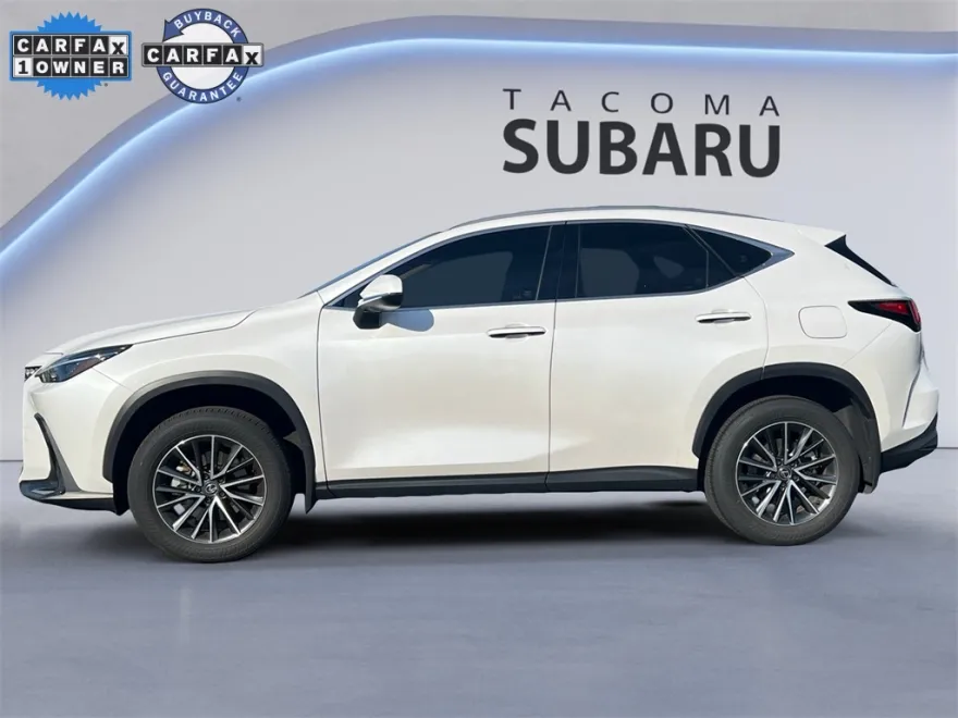 2024 Lexus NX 350 photo 1