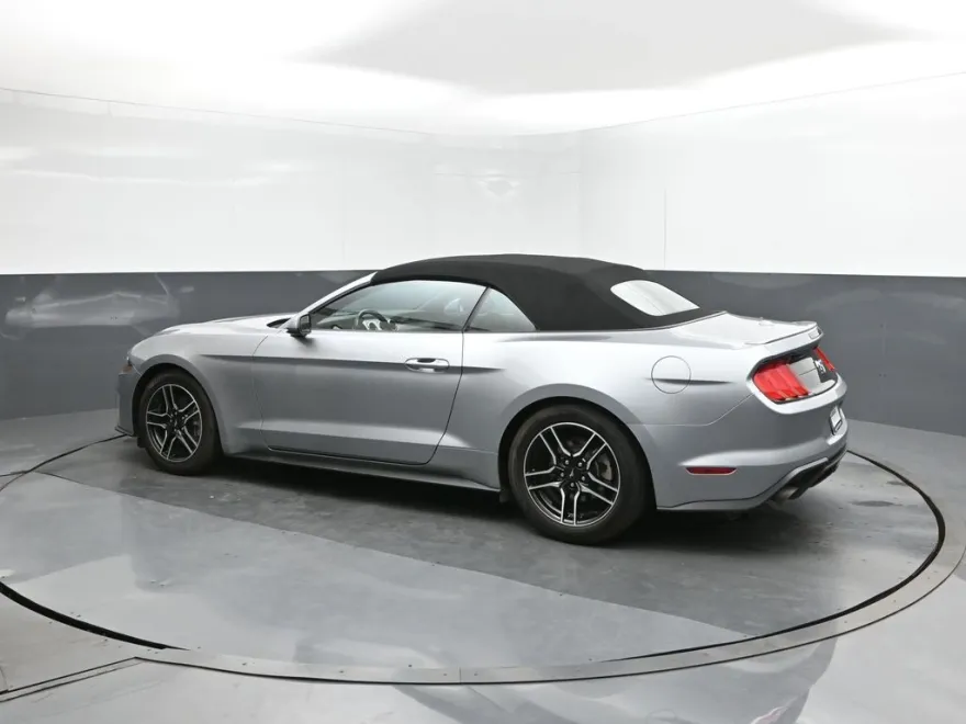 2023 Ford Mustang EcoBoost Premium photo 1