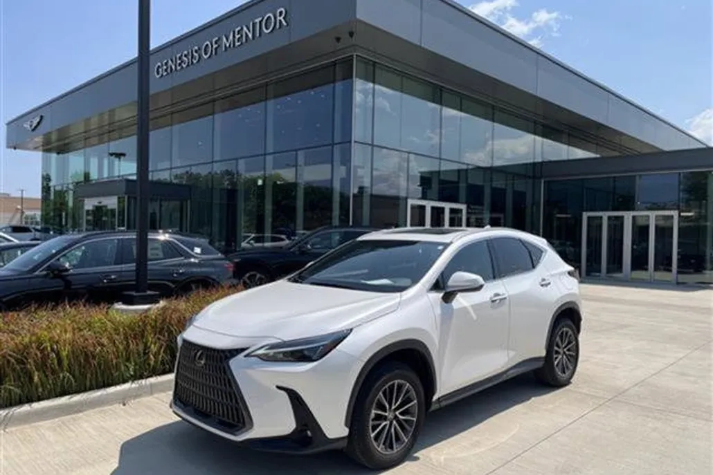 2023 Lexus NX 350h photo 1
