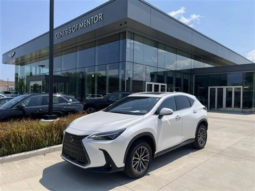 2023 Lexus NX 350h photo 1