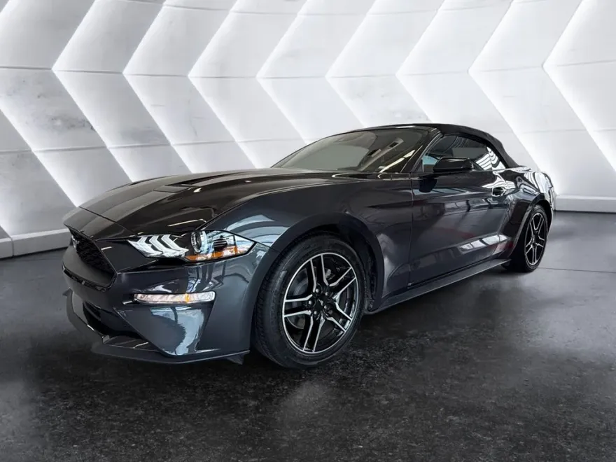 2023 Ford Mustang EcoBoost Premium photo 1