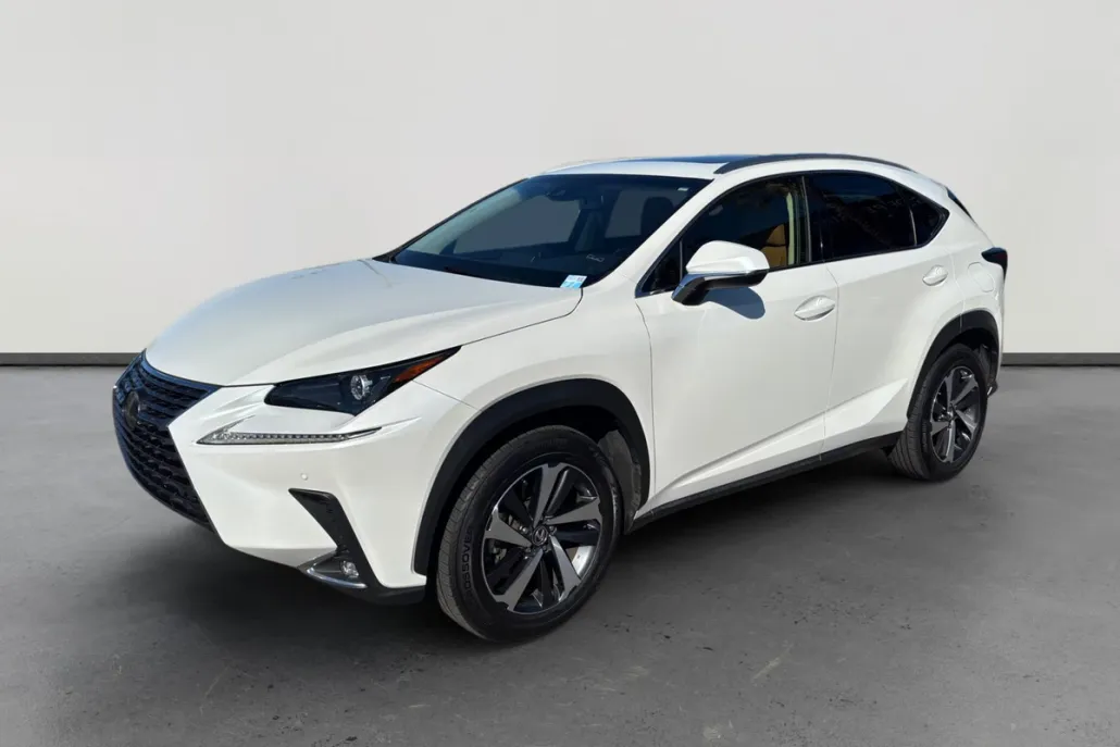 2019 Lexus NX 300 Luxury photo 1