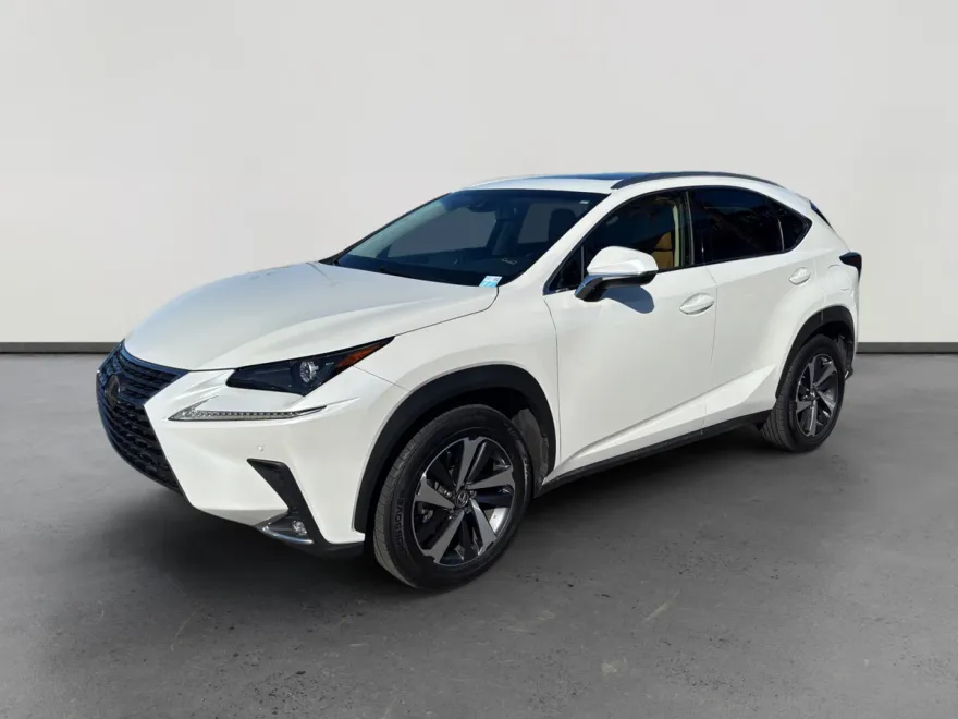 2019 Lexus NX 300 Luxury photo 1