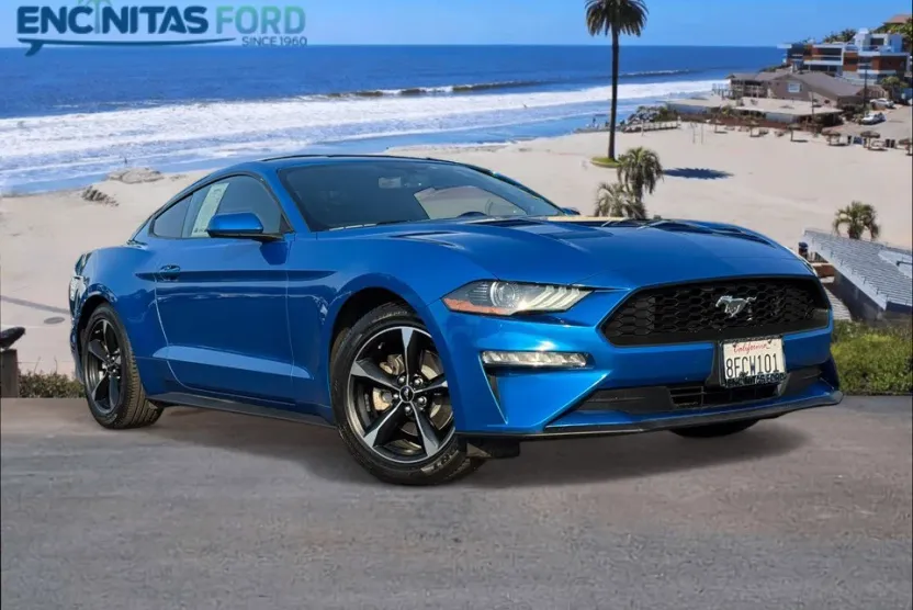 2019 Ford Mustang photo 1