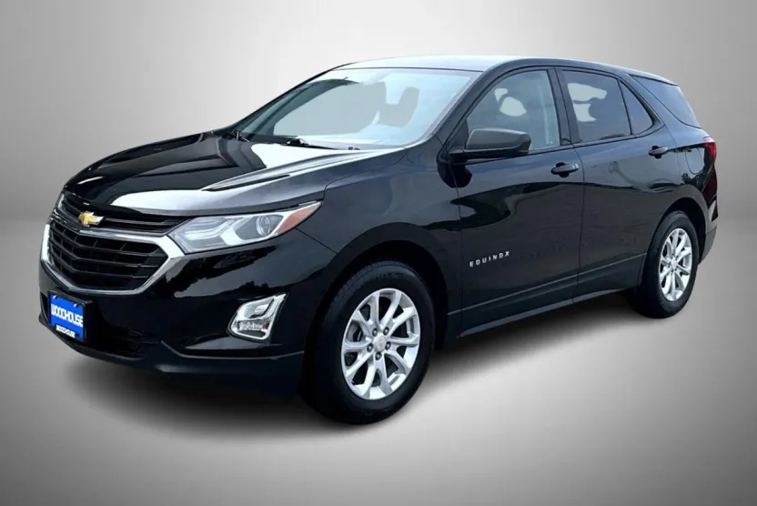 2019 Chevrolet Equinox LS photo 1