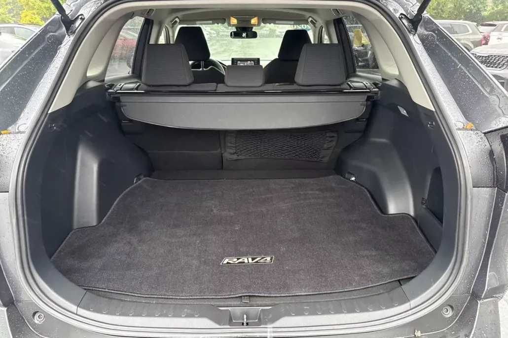 2020 Toyota RAV4 LE photo 1