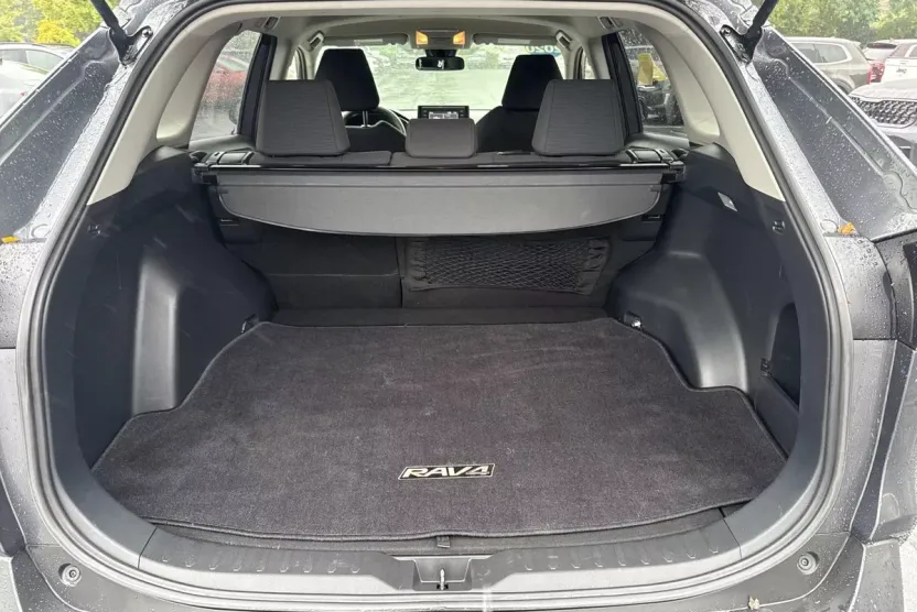 2020 Toyota RAV4 LE photo 1
