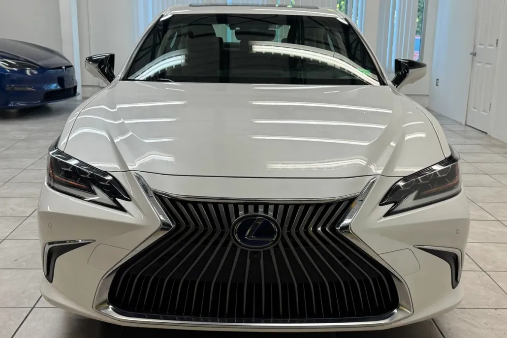 2019 Lexus ES 300h Luxury photo 1