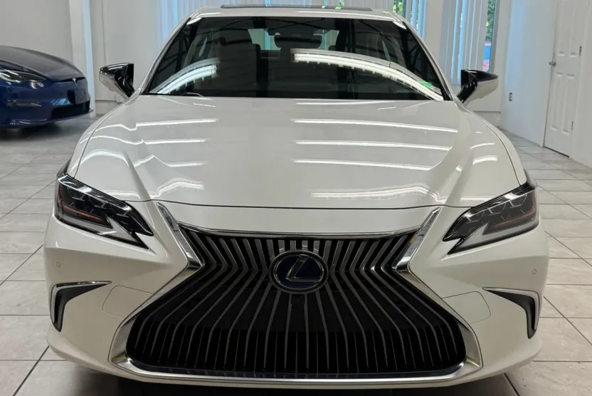 2019 Lexus ES 300h Luxury photo 1