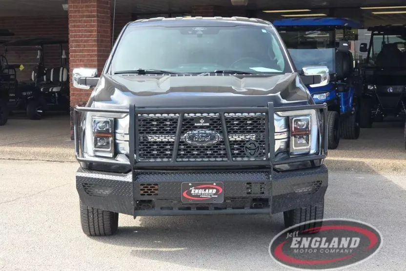 2021 Ford F-150 Platinum photo 1