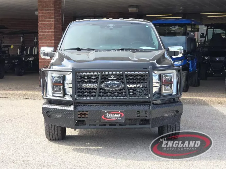 2021 Ford F-150 Platinum photo 1