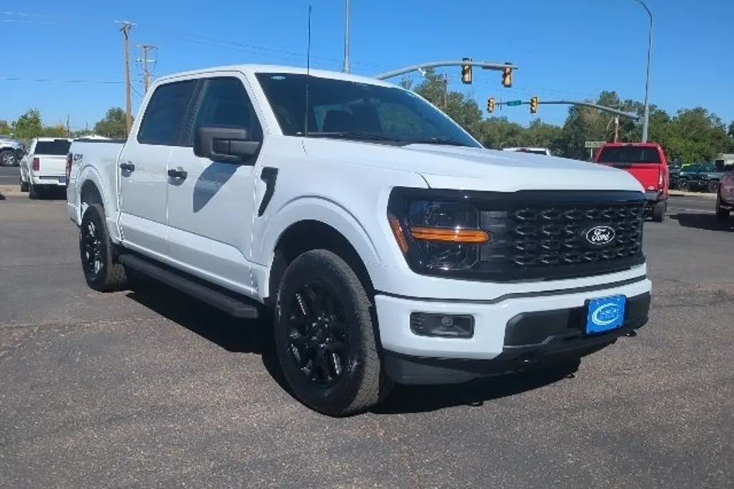 2025 Ford F-150 STX photo 1