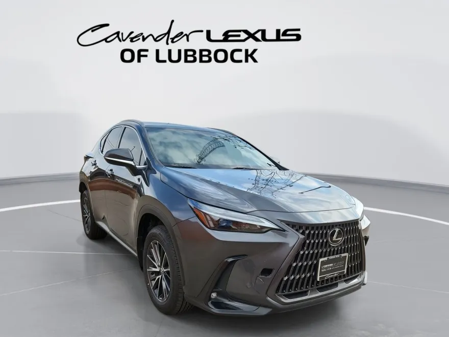 2024 Lexus NX 250 photo 1