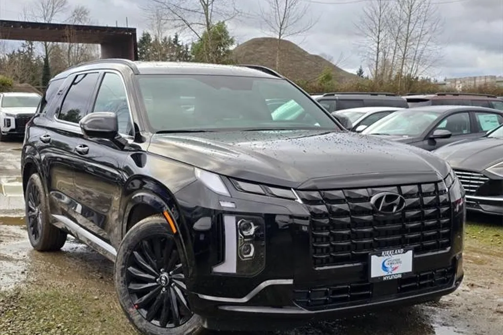 2025 Hyundai Palisade Calligraphy photo 1