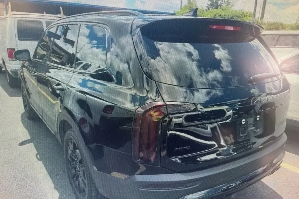 2022 Kia Telluride EX photo 1