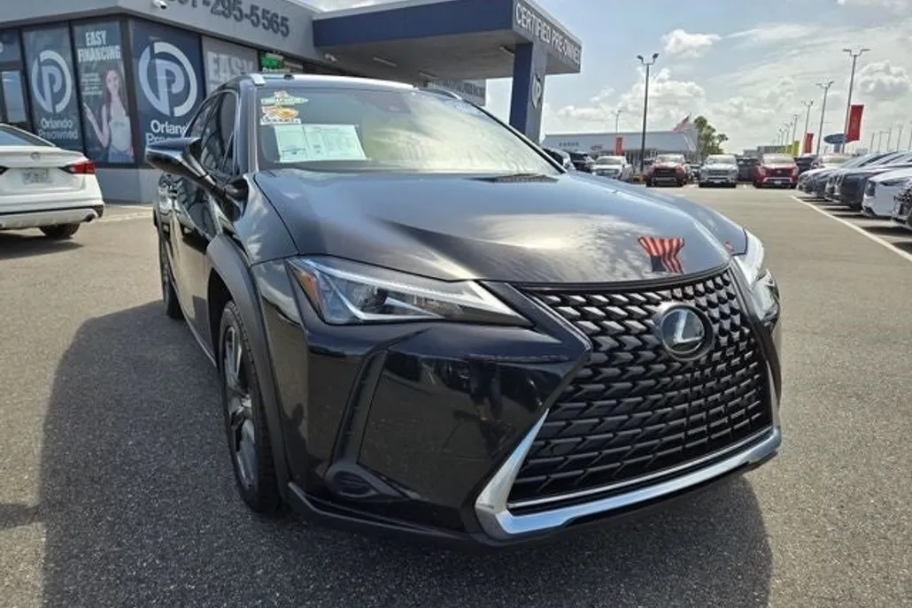 2019 Lexus UX 200 photo 1