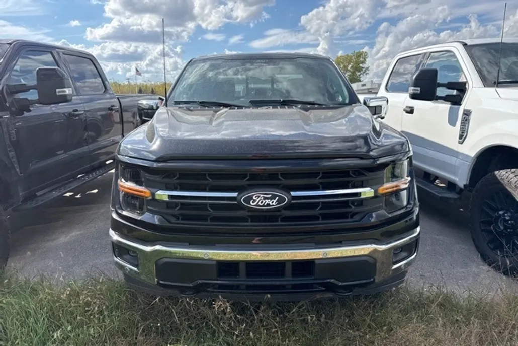 2024 Ford F-150 XLT photo 1