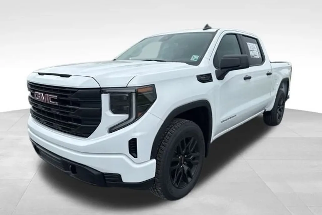 2025 Gmc Sierra 1500 Pro photo 1