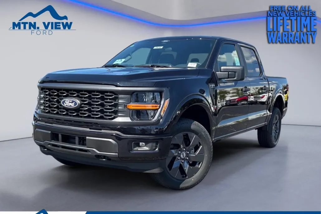 2025 Ford F-150 STX photo 1