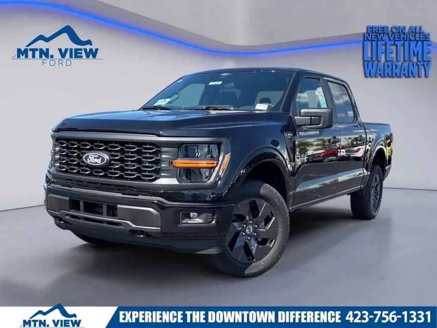 2025 Ford F-150 STX photo 1