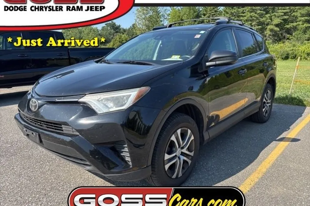 2017 Toyota RAV4 LE photo 1