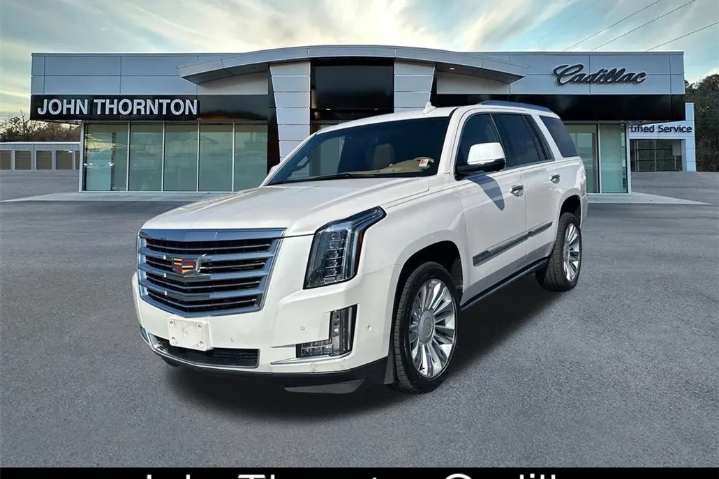2019 Cadillac Escalade Platinum photo 1