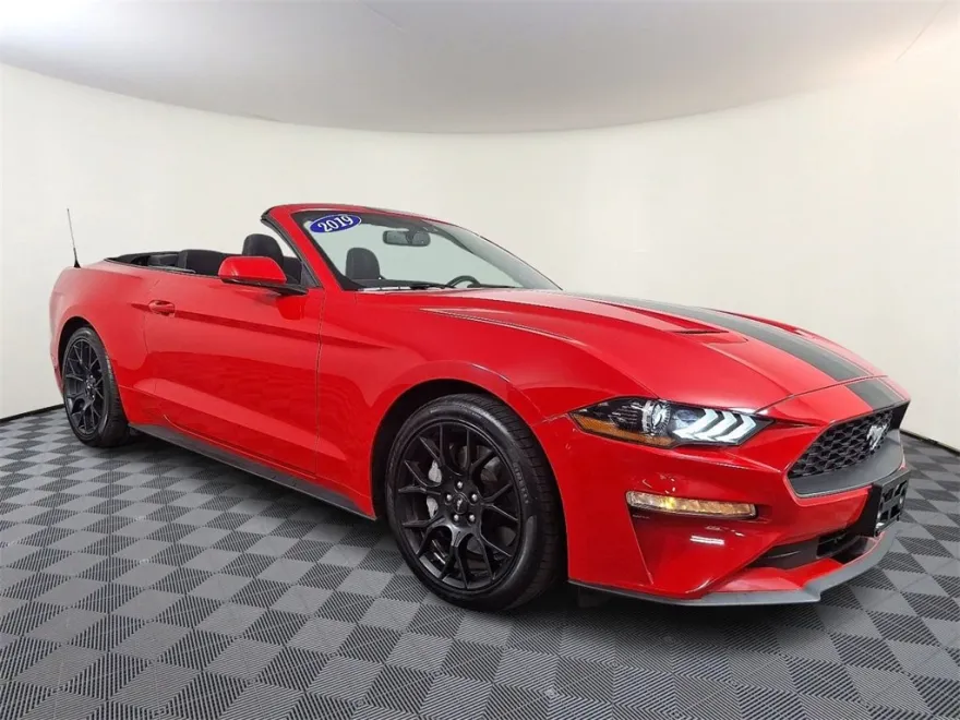 2019 Ford Mustang Convertible photo 1