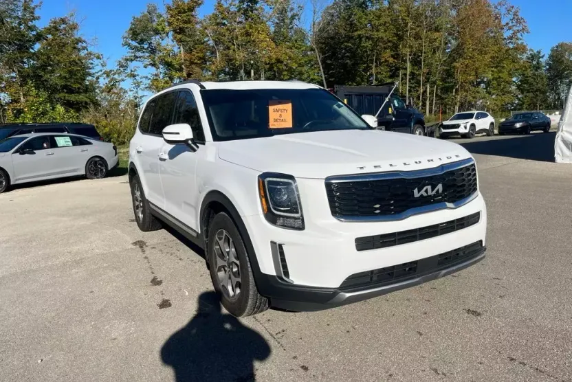 2022 Kia Telluride EX photo 1