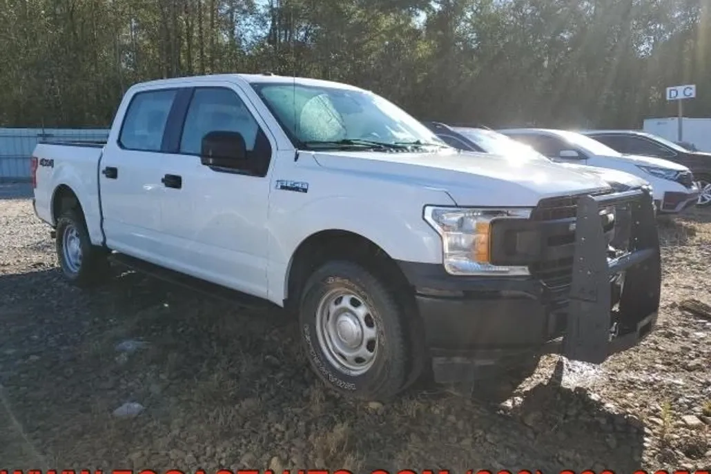 2019 Ford F-150 XL photo 1
