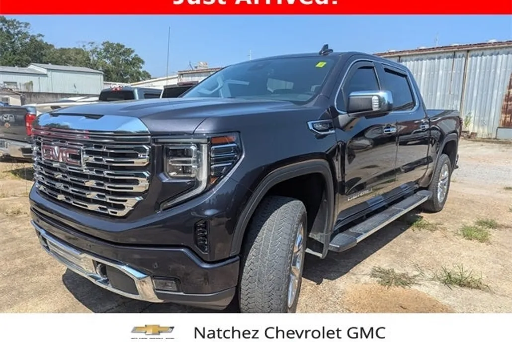 2022 Gmc Sierra 1500 Denali photo 1
