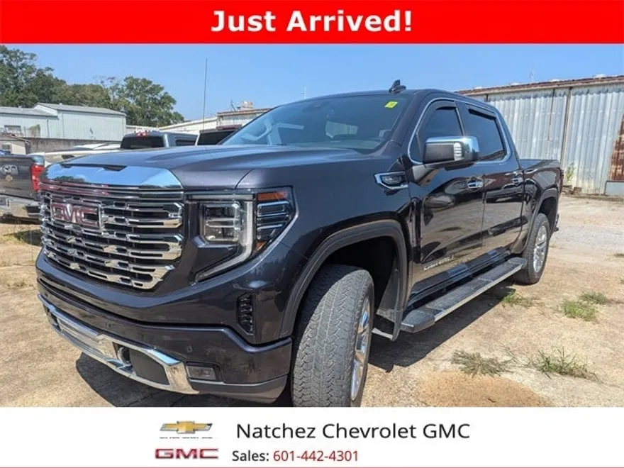 2022 Gmc Sierra 1500 Denali photo 1