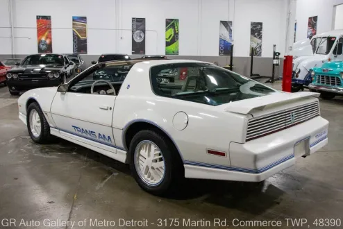 1984 Pontiac Firebird TRANS AM photo 3