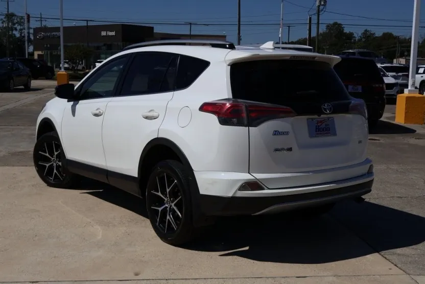 2017 Toyota RAV4 SE photo 1