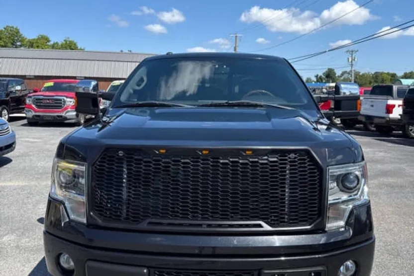 2013 Ford F-150 photo 1