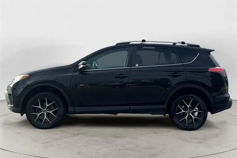 2017 Toyota RAV4 SE photo 1